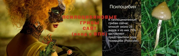 mdpv Заволжск