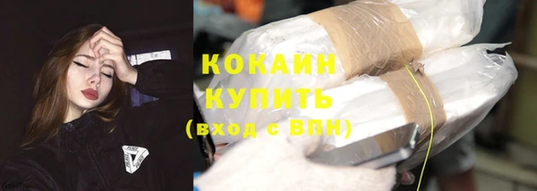 амф Заволжье