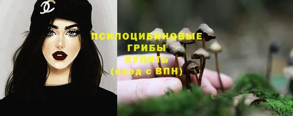 амф Заволжье