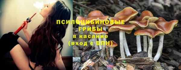 mdpv Заволжск